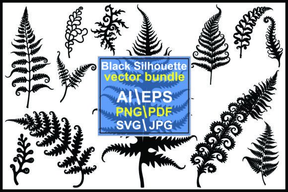A Review of Fern Leaf Silhouette Graphics