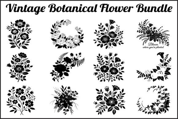 Botanical Flower SVG Collection