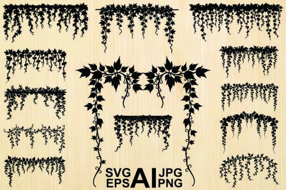 Leaves Vinegarroon Black Silhouette Graphics & Illustrations