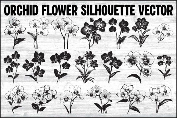 Orchid Flower Silhouette Vector Bundle: Graphics & Illustrations for Local Branding