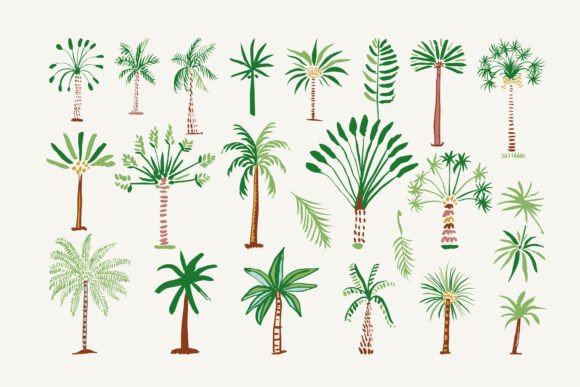 Palms SVG: A Hand Drawn Graphic Asset for Real Crafters