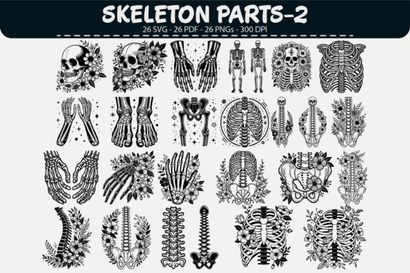 Skeleton Parts Vector Clipart – 26 Desig: Graphics & Illustrations
